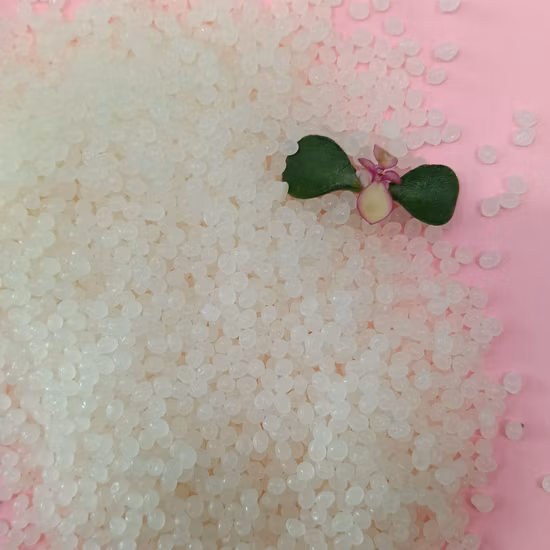 Guorarn PLA biodegradável Pbat plástico compostável preto T